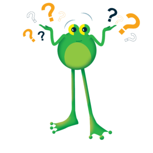Frogfoot Rise Router FAQs - Frogfoot